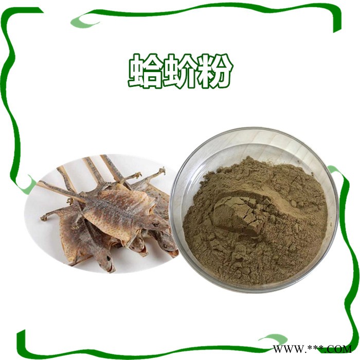 扶风斯诺特 天麻粉  全水溶  天麻浓缩粉 生产厂家，可定制图2