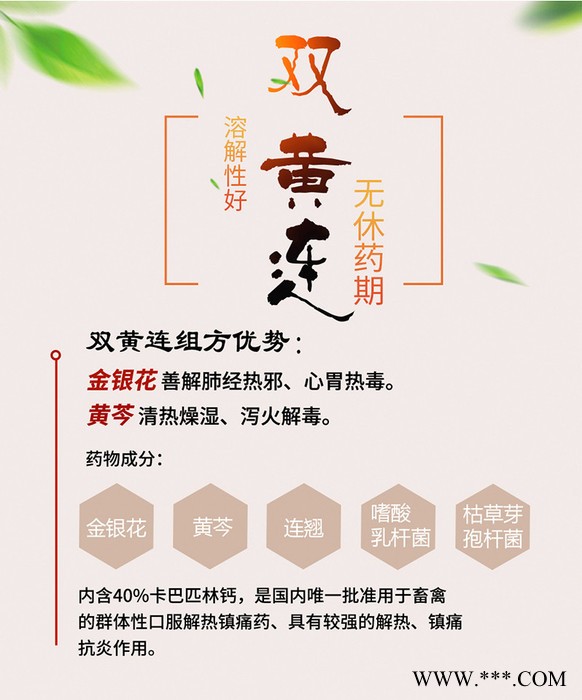 双黄连可溶性粉中药清热排毒除燥安全可靠 夏天消除热应激 排毒效果好图3