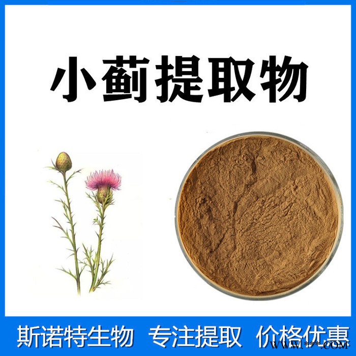 斯诺特生物 黄芩提取物 黄芩苷 水溶性 黄芩浓缩粉图2