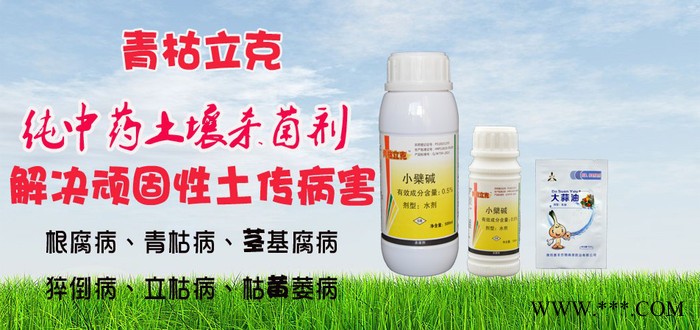 胡黄连根腐病中药杀菌剂用青枯立克+大蒜油生物农药绿色安全图3