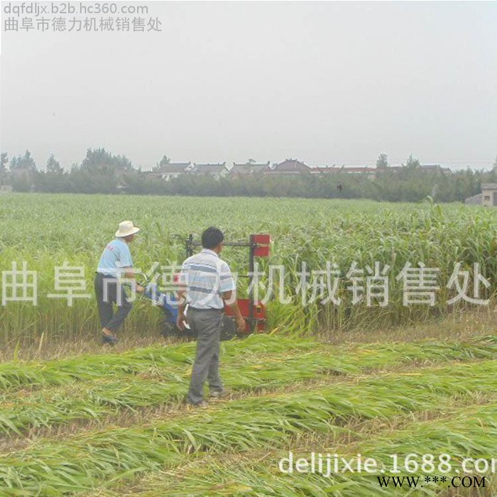 大马力柴油割晒机 宽幅手推绿豆收割机 板蓝根中药材收割铺放机图8