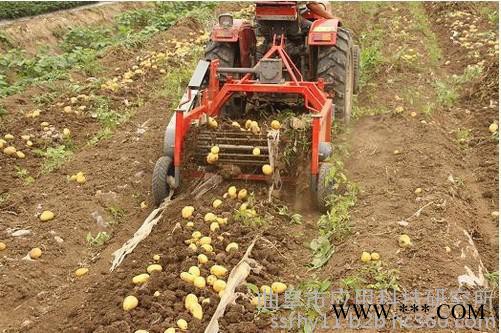 科阳”牌红薯收获机红薯收获机新型自动土豆收获机 多功能玉米红薯板蓝根收获机 自走式收获机图2