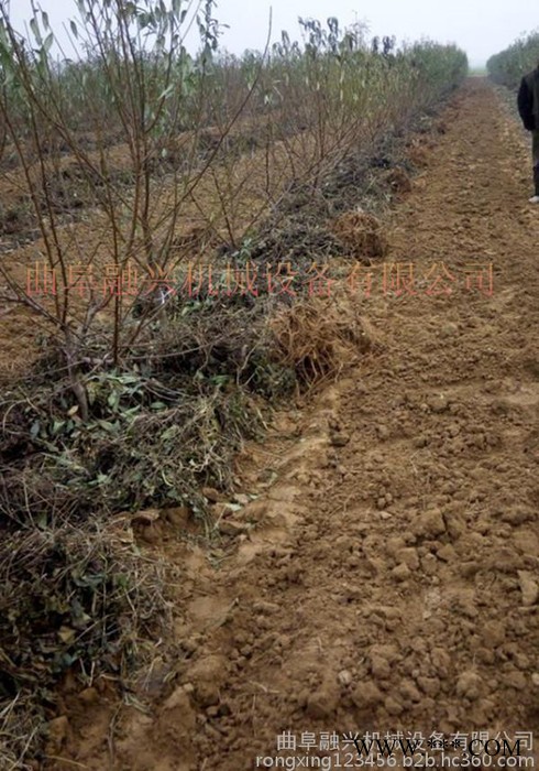 中草药收获机价格 广东何首乌收获机 白芷收获机图片 价格图3