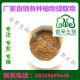 大黄茎叶提取物10:1 大黄茎叶粉现货  大黄茎叶萃取粉现货图3