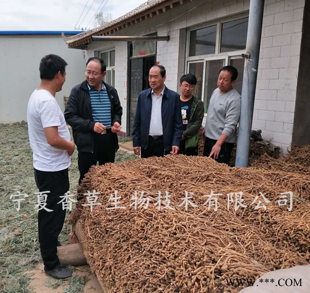 山药粉60-120目 厂家批发山药膳食纤维粉价格 山药低温烘焙粉现货图2