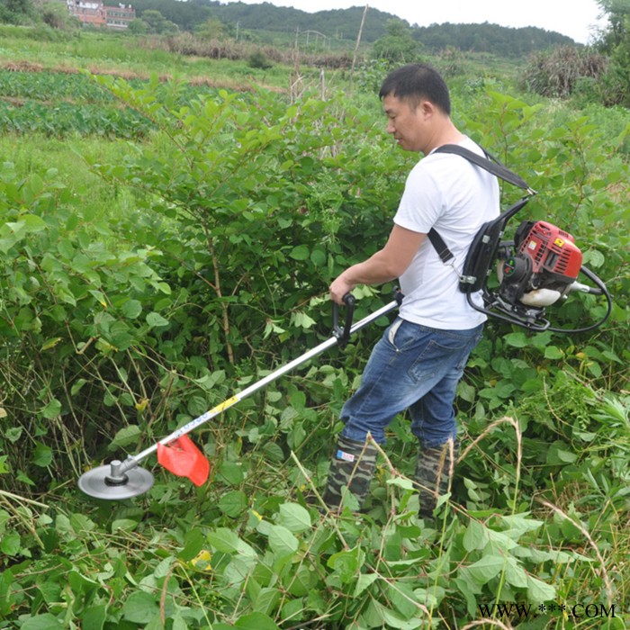 厂家批发微型中草药柴胡割草机 农用自走式四冲程动力割草机 手推式果园锄草机富兴图7