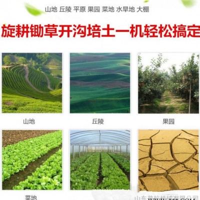 耐用果园种植小型开沟机 普航农用田园管理机价格 山药果园锄草机