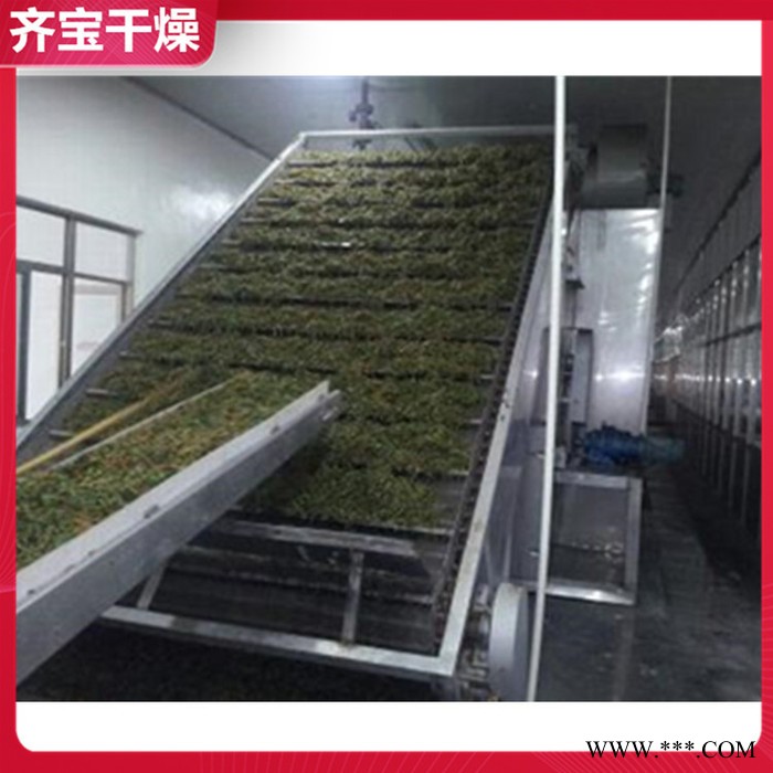 土豆片带式干燥机 网带式山药烘干机厂家 单层带式干燥机型号 压缩木片带式干燥机图4