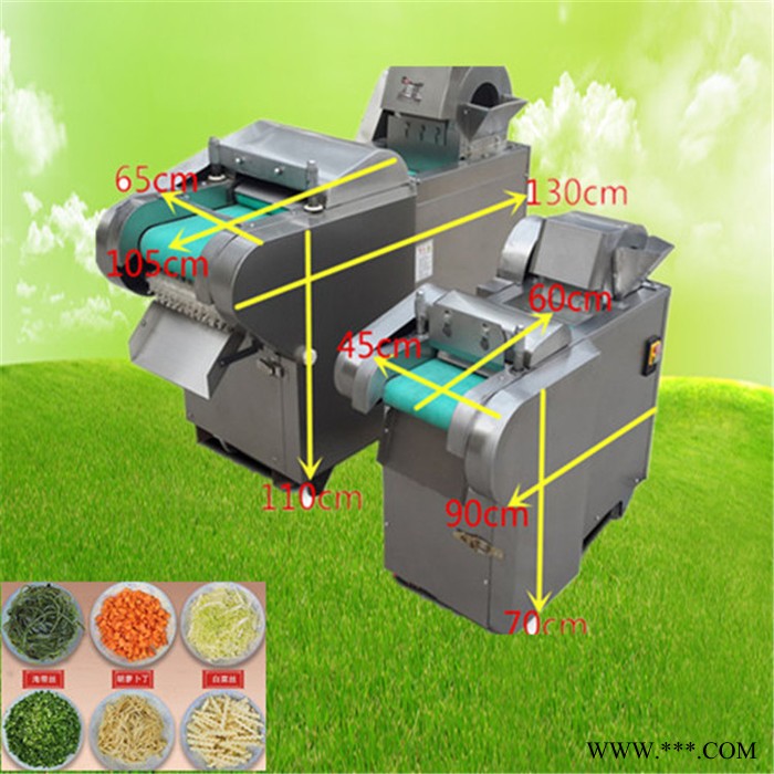 **山药切段机 多功能果蔬加工切菜机 海澜自动输送蔬菜切菜机图5