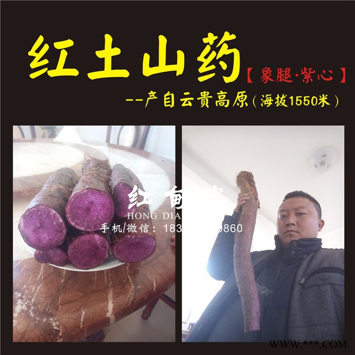 云南红甸宏山药基地出售新鲜金秤砣山药 天然食品 灵芝山药大量批发图4