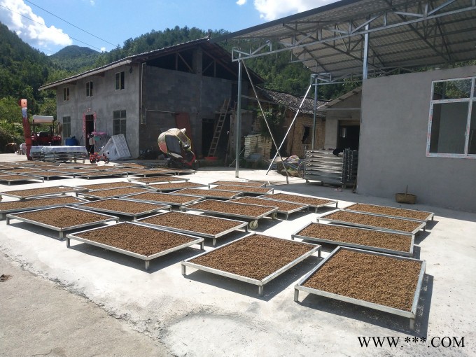 供应8车菊花烘干房 各种型号烘干房 枸杞烘干机 山药烘干机图2