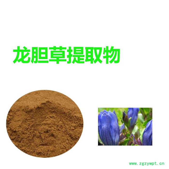 甘肃斯诺特 龙胆草取物   龙胆草粉  全水溶图1