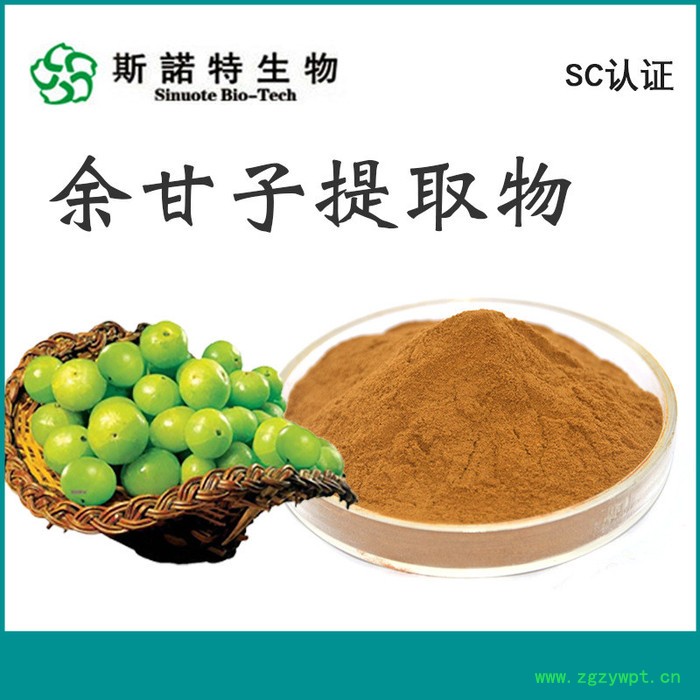 斯诺特生物 玉竹提取物 玉竹粉 速溶食品原料 喷雾干燥制品图4