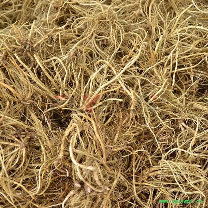 龙胆草烘干机直销 中草药烘干机厂家批发 多层中药材烘干机 菊花烘干机 大枣烘干机 生姜烘干机-方信机械图2