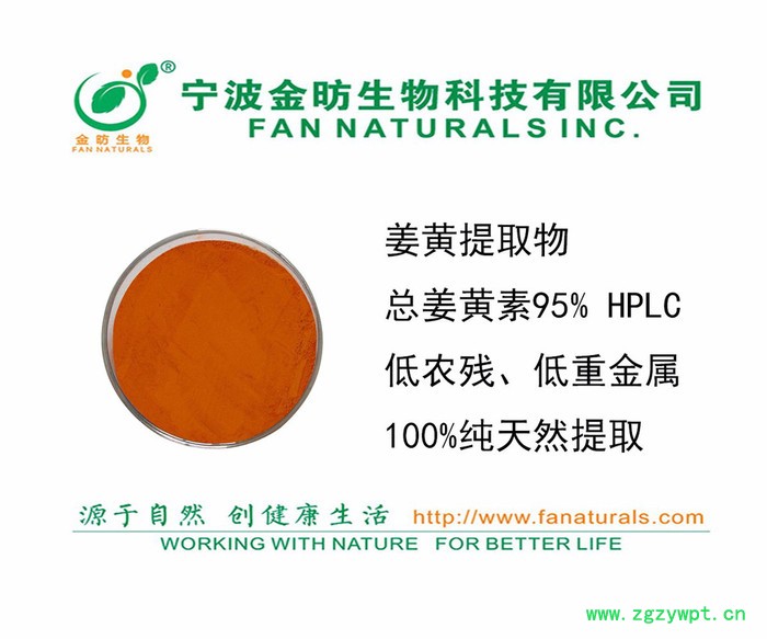 姜黄提取物、姜黄素TURMERIC EXTRACT、CURCUMIN植物原药材