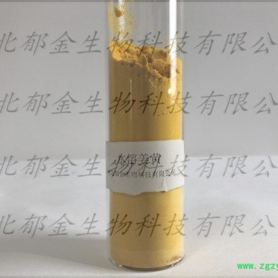 水溶姜黄 天然植物色素 工厂直销可量身定做