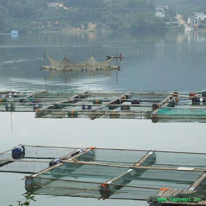 【永宏】  可定做  水蛭养殖网箱  鱼苗虾网箱  繁殖孵化网箱   泥鳅养殖网箱  黄鳝网箱