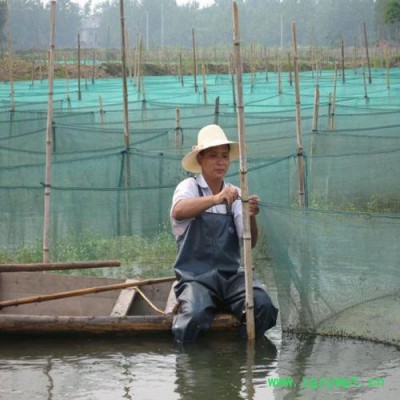 供应养殖网   泥鳅养殖网   水蛭养殖网