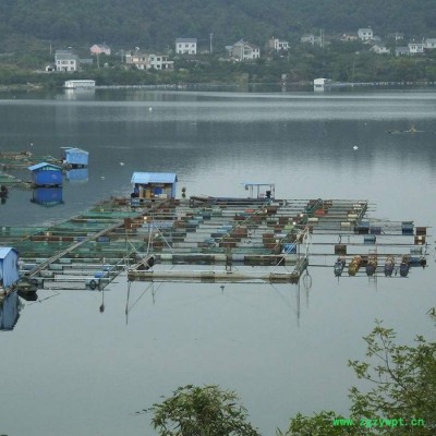 【永宏】   专业定制  网箱  养殖网箱  黄鳝泥鳅养殖网箱  水蛭养殖网箱