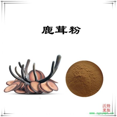 沃特莱斯 鹿茸提取物10:1  速溶鹿茸粉