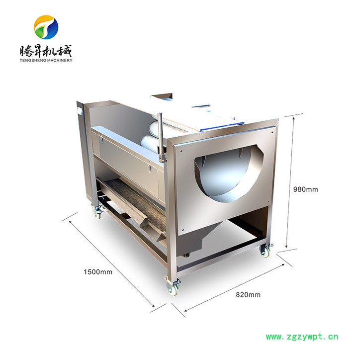 腾昇TS-M600畅销款毛棍清洗去皮机 **不锈钢土豆清洗去皮机 天冬清洗脱皮机 使用方便图8