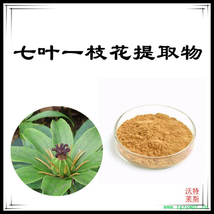 沃特莱斯 七叶一枝花提取物10:1  速溶七叶一枝花粉图3