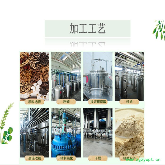 沃特莱斯 白茅根提取物 10:1白茅根速溶粉 白茅根浸膏图2