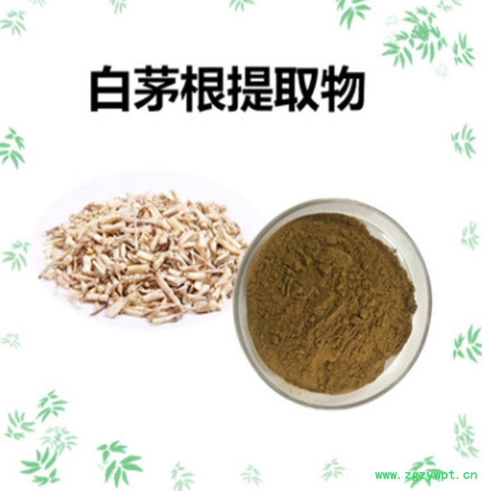 沃特莱斯 白茅根提取物 10:1白茅根速溶粉 白茅根浸膏图1