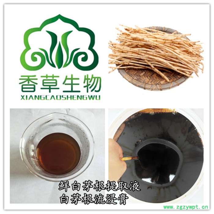 鲜白茅根流浸膏1.0-1.3 批发白茅根提取液现做 鲜白茅根浓缩液图2