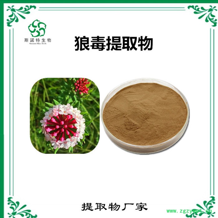 斯诺特 狼毒喷雾干燥粉 狼毒浸膏粉 植物提取物 厂家发货图7