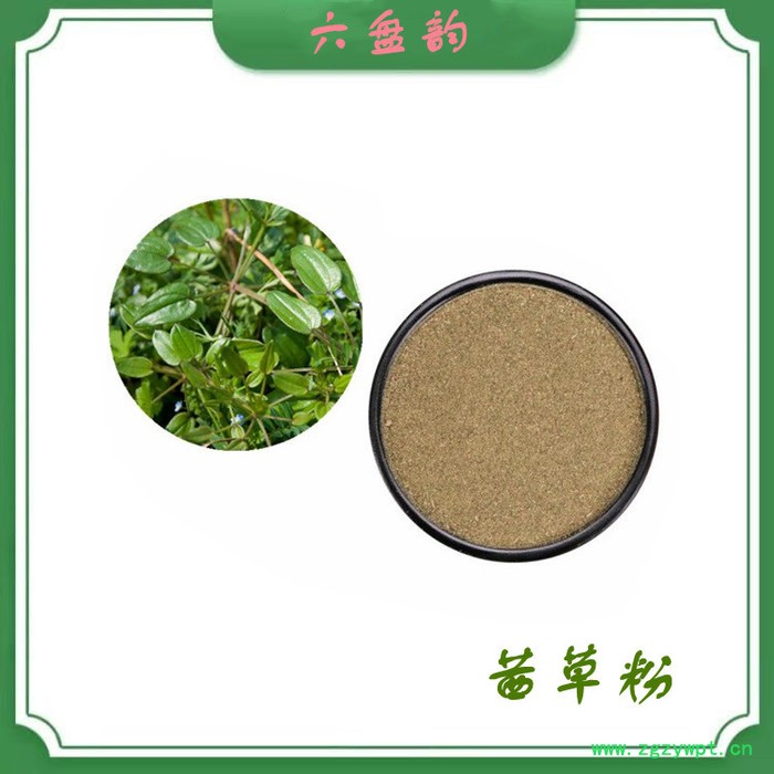 茜草粉 水溶 可定制 10:1 茜草提取物图1