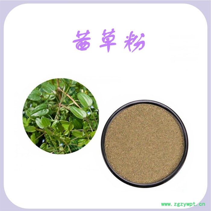 茜草粉 水溶 可定制 茜草提取物厂家 茜草浓缩粉图1