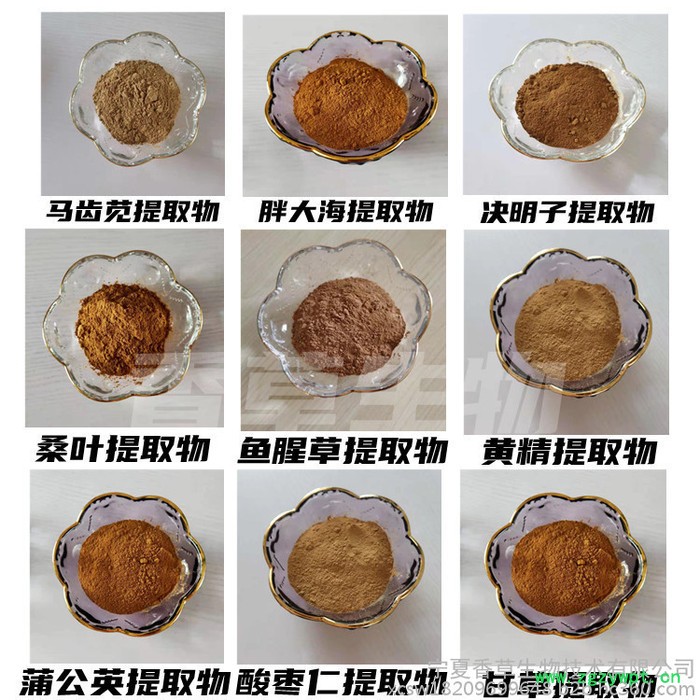 芦根提取物批发  香草生物 芦根粉120目 芦茅根提取液图5