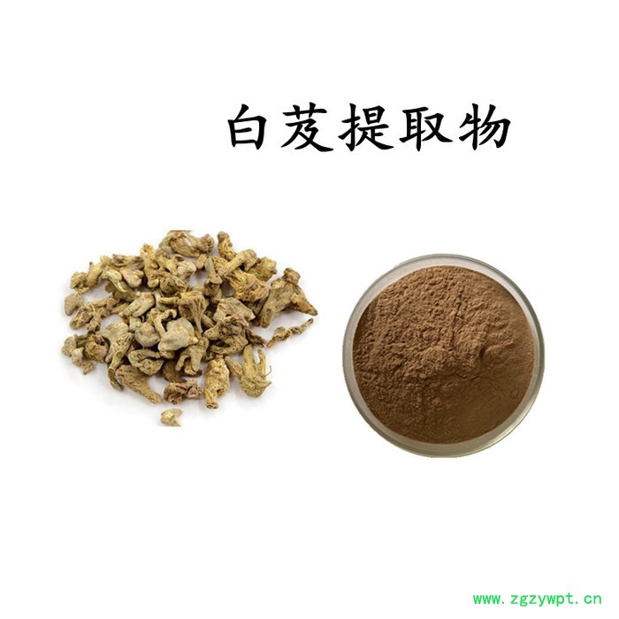 茜草提取物 茜草浓缩粉  水溶 可定制图4