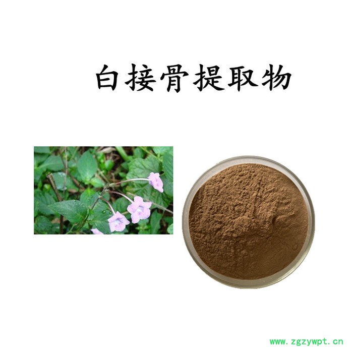 茜草提取物 茜草浓缩粉  水溶 可定制图2