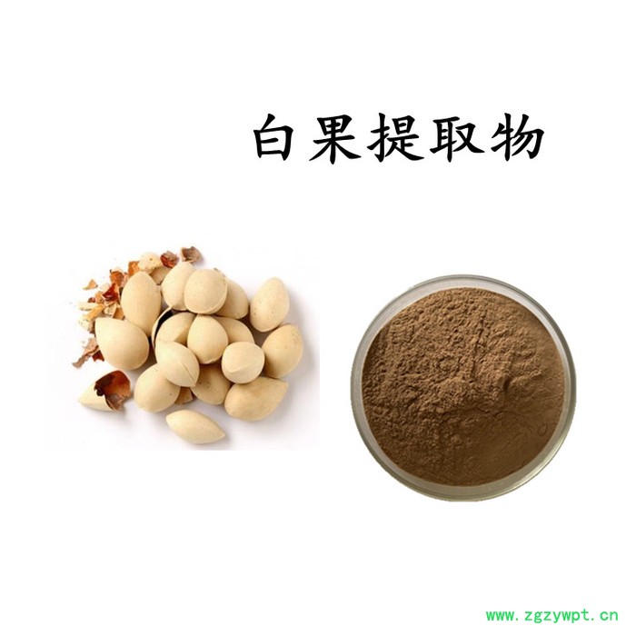 茜草提取物 茜草浓缩粉  水溶 可定制图3