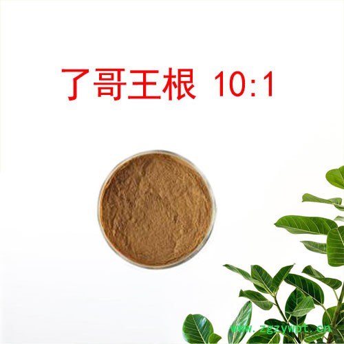 森杰生物   了哥王根提取物  10:1  植物提取物图2