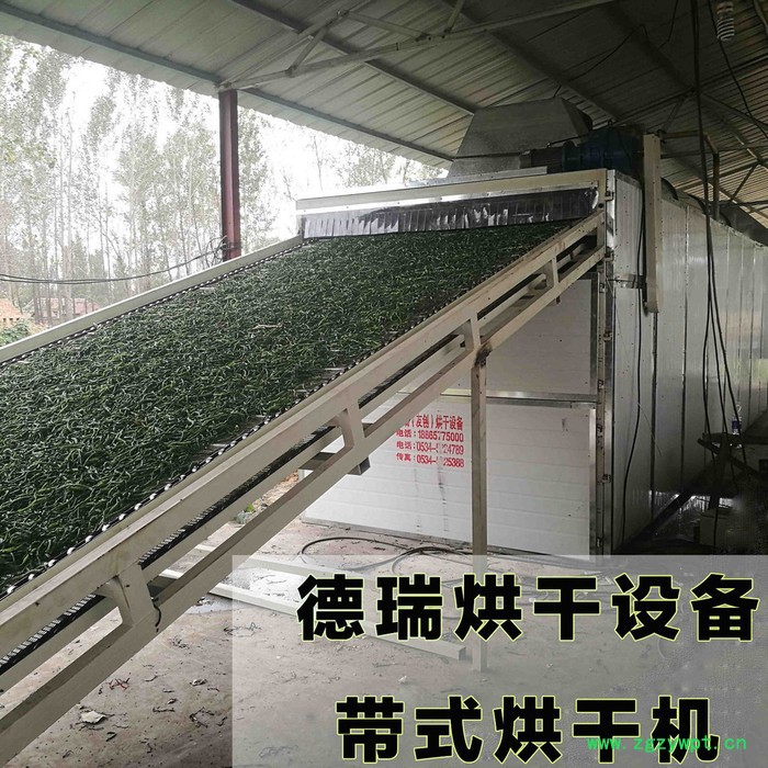 福创供应网带式烘干机大型小型隧道式中草药干燥机金银花五味子连续式烘干 金银花烘干机图2