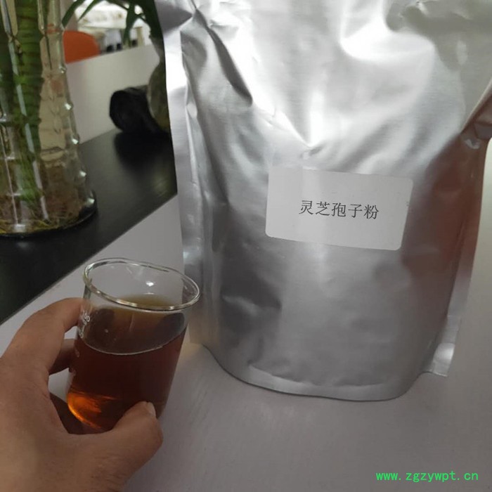 灵芝粉一手货源  破壁灵芝孢子粉破壁率95%  宁夏厂家供应灵芝粉200目 灵芝多糖图6