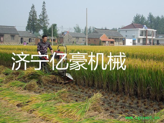 淮北药材割晒机 亿豪多功能小型大马力割晒机 农用收割机秸秆收农用玉米收割机图2