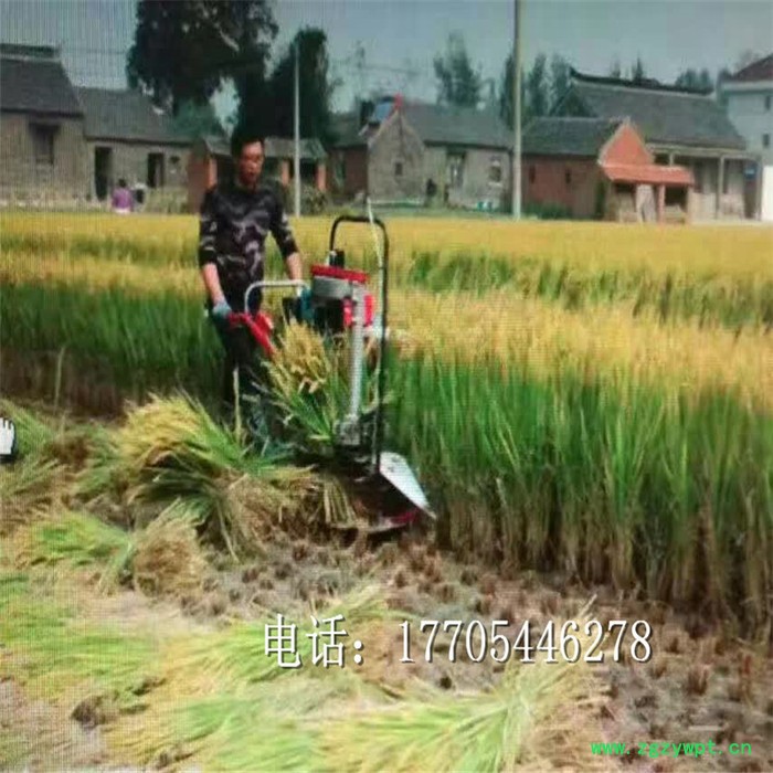 小型收获机割大豆牧草小麦油菜苜蓿玉米辣椒油菜药材收割机割晒机图1