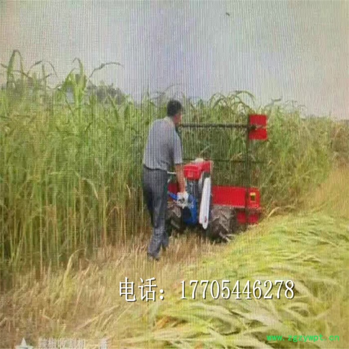 小型收获机割大豆牧草小麦油菜苜蓿玉米辣椒油菜药材收割机割晒机图2