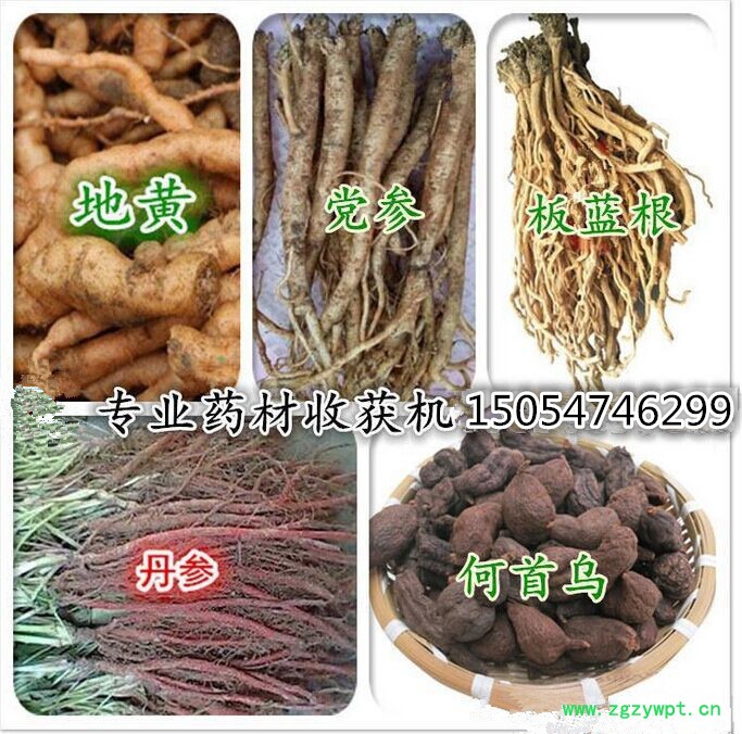 菏泽辣根挖掘机图片  药材收获机    丹参收获机厂家  多功能药材深挖机图8