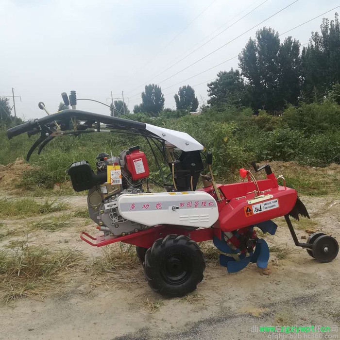 贵州药材种植开沟机 苗圃打地旋耕机图片 启航大葱培土机图3