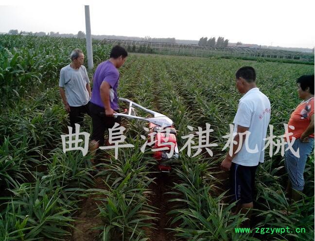 烟草/药材种植开沟机大葱种植用开沟培土机电打火开沟机图1