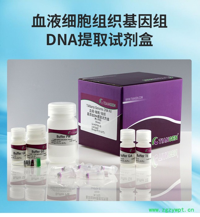 天根 血液细胞组织基因组 DNA提取试剂盒 DP304-02图3