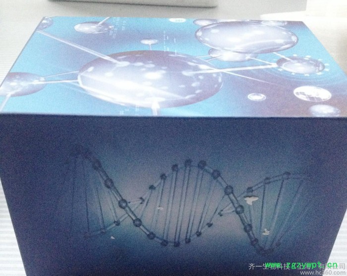 苏云金芽孢杆菌蛋白(BT)ELISA 试剂盒（免费代测）