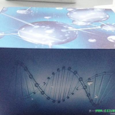 苏云金芽孢杆菌蛋白(BT)ELISA 试剂盒（免费代测）