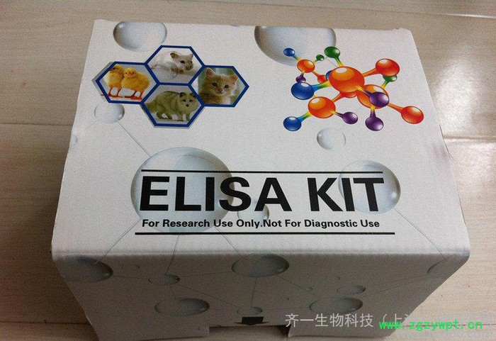 兔子中性粒细胞弹性蛋白酶(NE)ELISA 试剂盒 国产EL