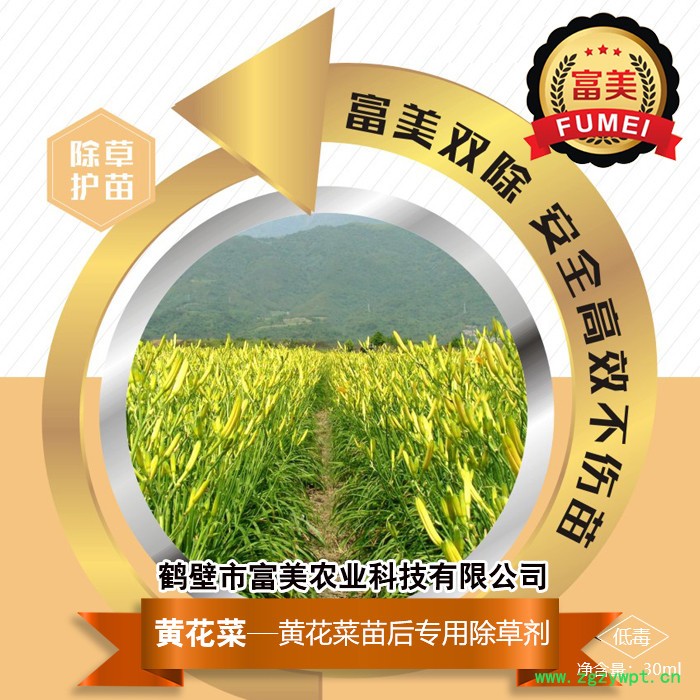 富美农业  黄花菜 中药材专用除草剂 除草护苗 安全高效图2